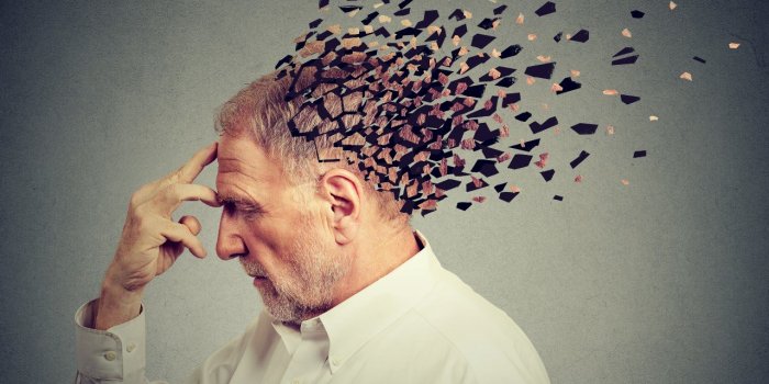 Alzheimer : réguler le cuivre, la clé pour stopper la perte de mémoire ?