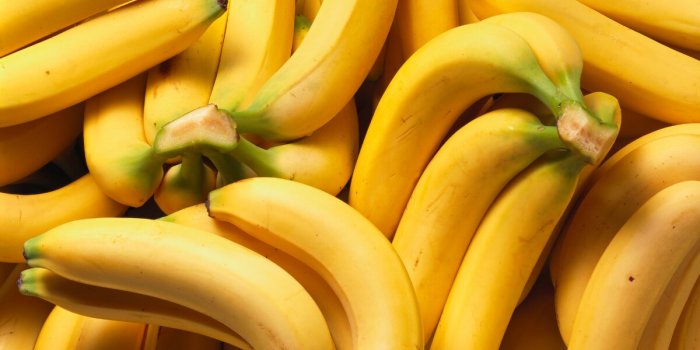 Banane : faut-il vraiment les consommer mûres ? 