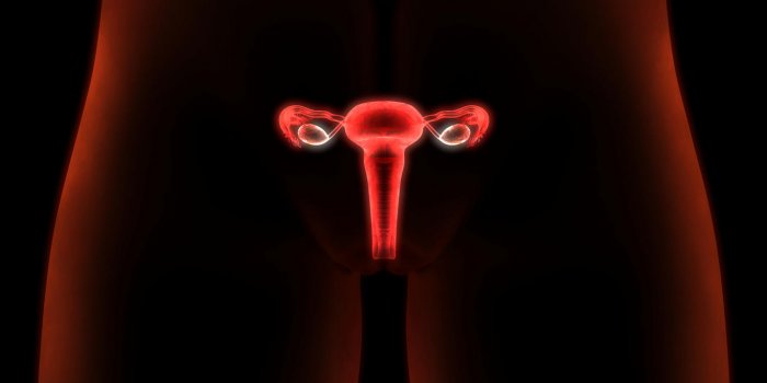 Col de l'utérus : le traitement du frottis inflammatoire