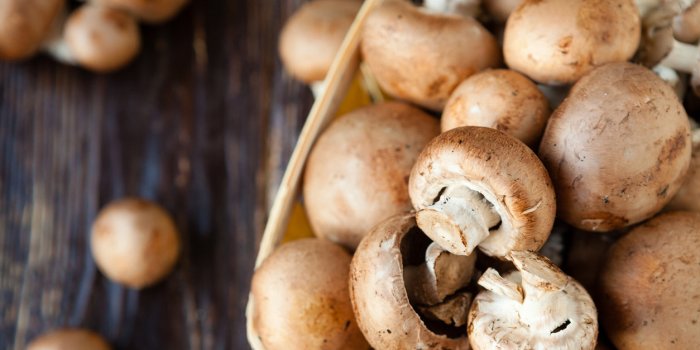 Cancer de la prostate : manger des champignons diminuerait le risque !