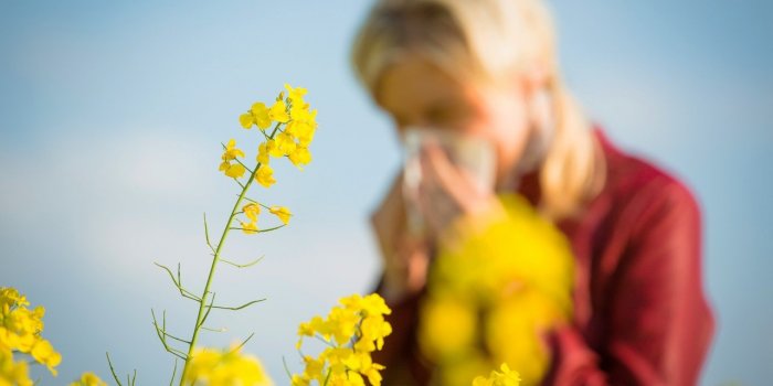 Covid-19 : pourquoi les allergies vous protègent d’une forme grave ? 