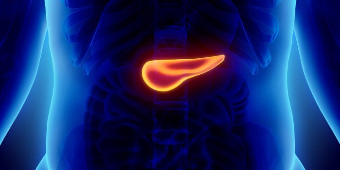Cancer du pancreas : un test pour le detecter au stade precoce