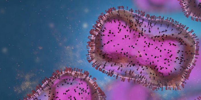 Monkeypox : l’épidémie de la variole du singe ralentit en France 