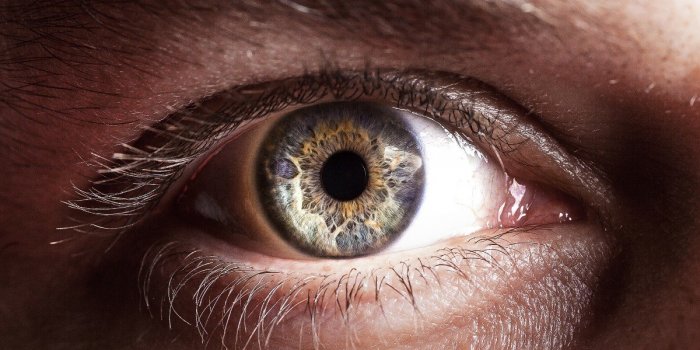 La taille des pupilles pourrait révéler votre intelligence