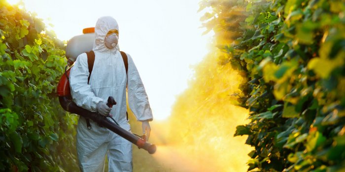 Les pesticides reconnus responsables de la maladie de Parkinson 