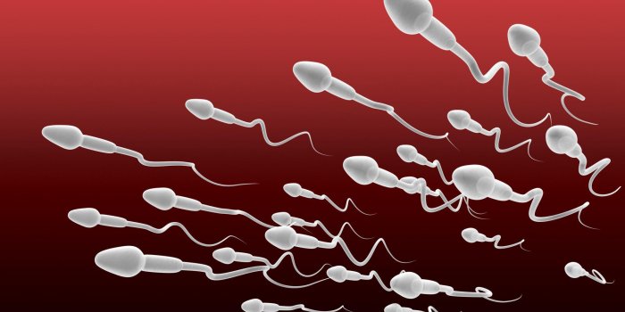 Ce que votre sperme révèle de votre santé