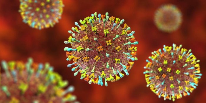 Langya henipavirus : faut-il s’inquiéter du nouveau virus découvert en Chine ? 