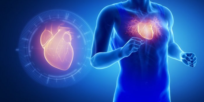 Quelles activites physiques pratiquer sans danger apres un infarctus ?