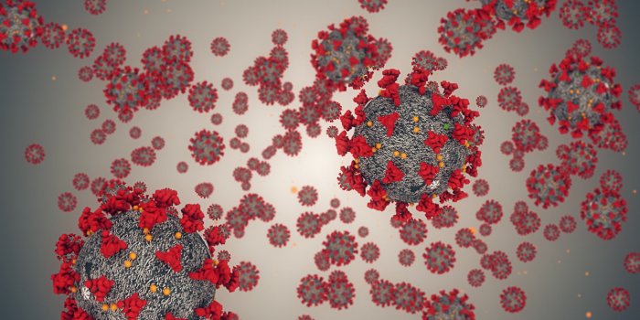 Coronavirus : les trois scénarios prévus par l’OMS en 2022 