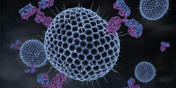 Bouton de fièvre : le virus herpes simplex en cause