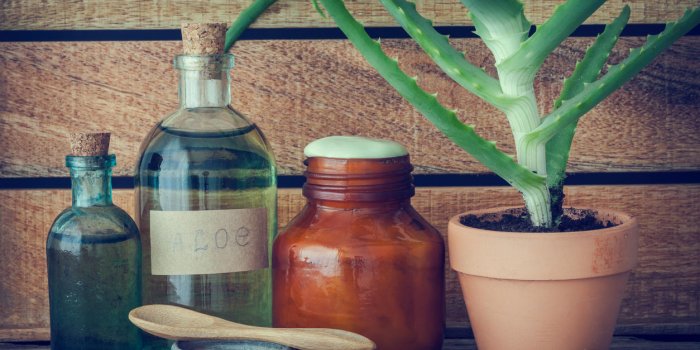 plante d'aloès en pot de fleurs, bouteille d'essence d'aloe vera bio, crème ou onguent et autres produits sur la table ...