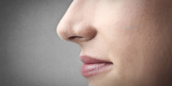 Maladies : votre odorat peut vous aider à les détecter