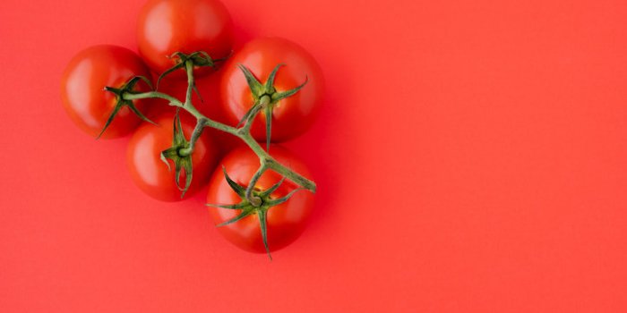 red tomatoes close up fresh organic tomatoes on red background, directly from above with copy space group of objects, hea...