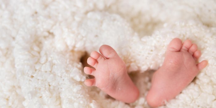 bare feet of a cute newborn baby in warm white blanket childhood small bare feet of a little baby girl or boy sleeping ne...