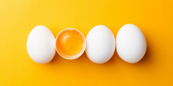 Cerveau : pourquoi manger des œufs améliore vos fonctions cognitives