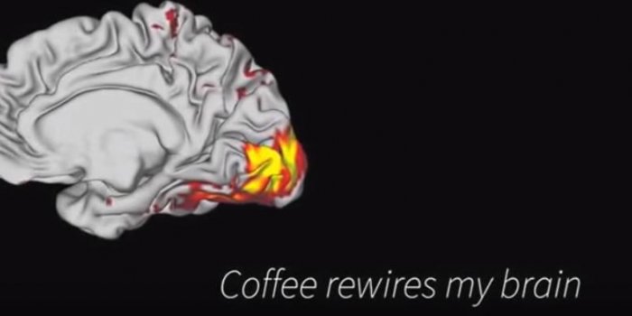 Vidéo. Les effets du café sur votre cerveau