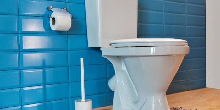 5 erreurs qui contaminent vos toilettes
