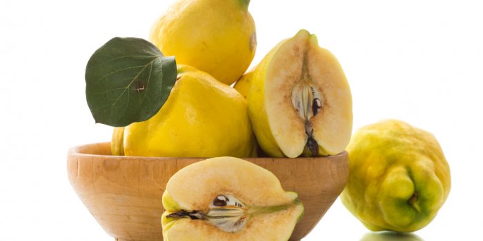 Coing : un fruit anti-diarrhée