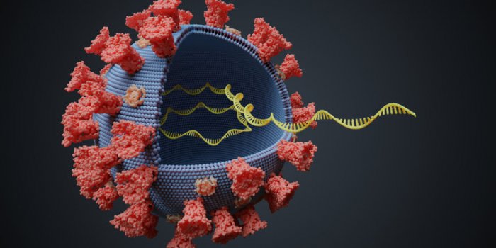 virus with rna molecule inside viral genetics concept 3d rendered illustration