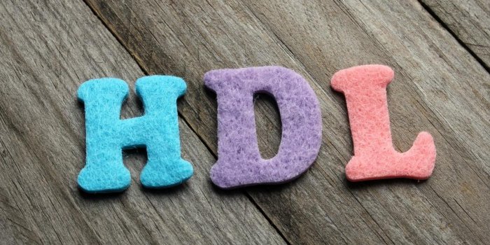 Cholestérol HDL : quelle est sa fonction ?
