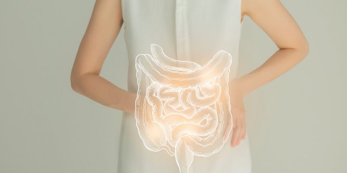 woman in white clothes holding virtual intestine in hand handrawn human organ, detox and healthcare, healthcare hospital ...