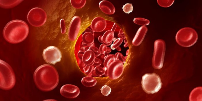 Thrombose hepatique : les signes