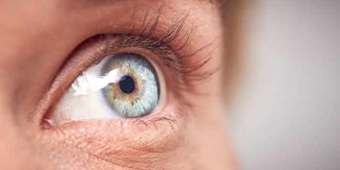 Les yeux pourraient signaler les risques d'AVC et de démence
