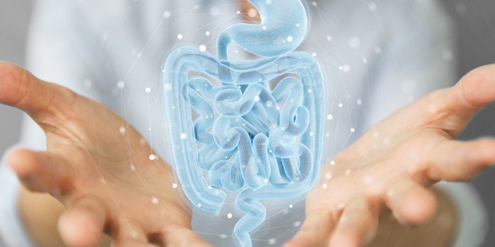 Intestins : ce colorant alimentaire pourrait déclencher plusieurs maladies inflammatoires