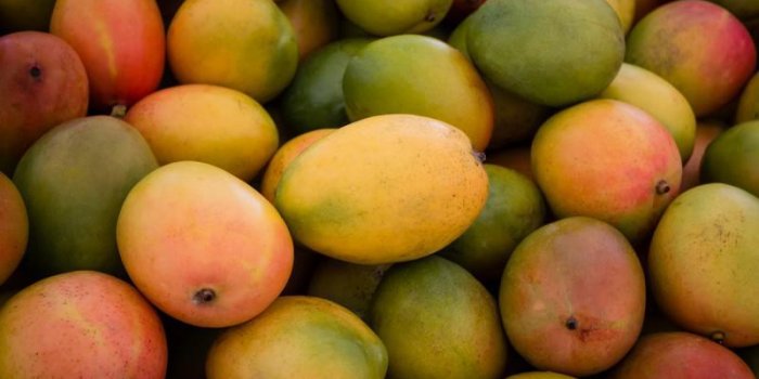 tas de mangue fraîche fruits closeup - fond de nourriture saine