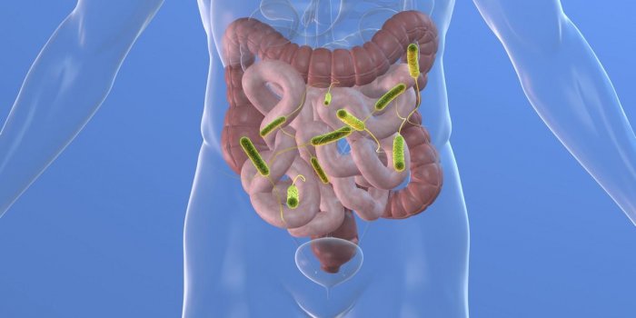 Flore intestinale : 6 signes que le microbiote est déréglé