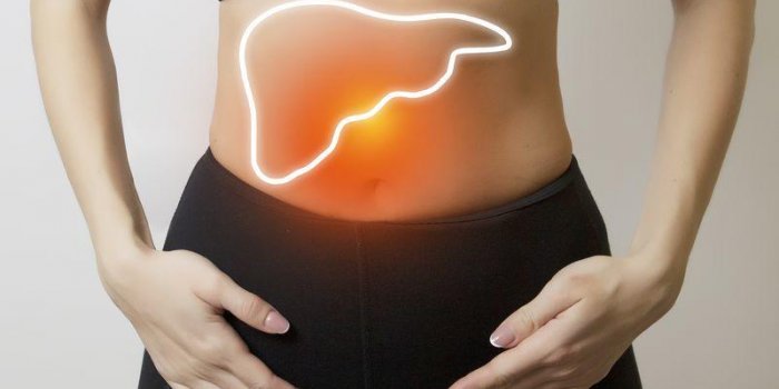 woman figure with visualisation of liver