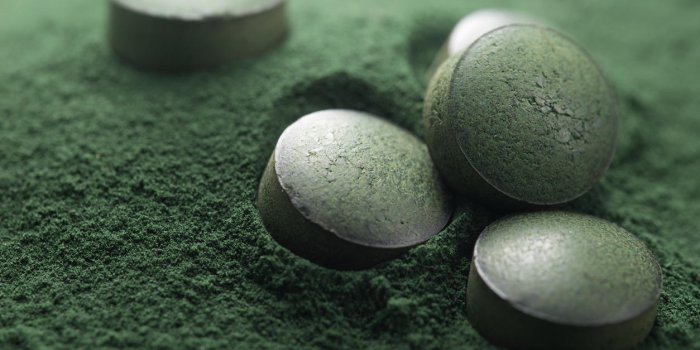close up of atisanal spirulina tablets on powder background with low depth of field horizontal image