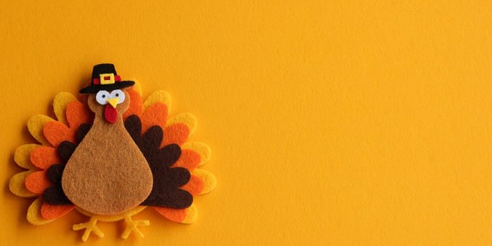 COVID : les bons gestes de Thanksgiving à piquer pour un Noël plus sûr 