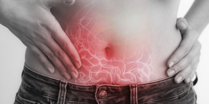 Santé intestinale : 5 astuces pour la préserver