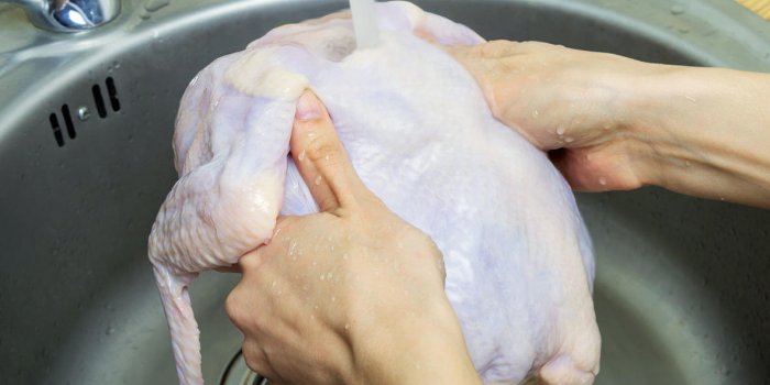 woman washing fresh raw hen in kitchen sink cooking chicken at home close-up, selective focus