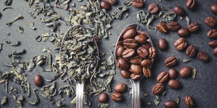 Fracture de la hanche : le thé et le café pourraient en réduire le risque 
