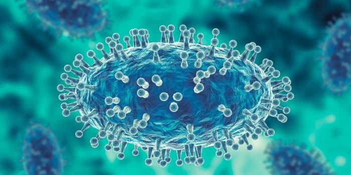 Variole et variole du singe : quelle est la différence entre les deux maladies ?