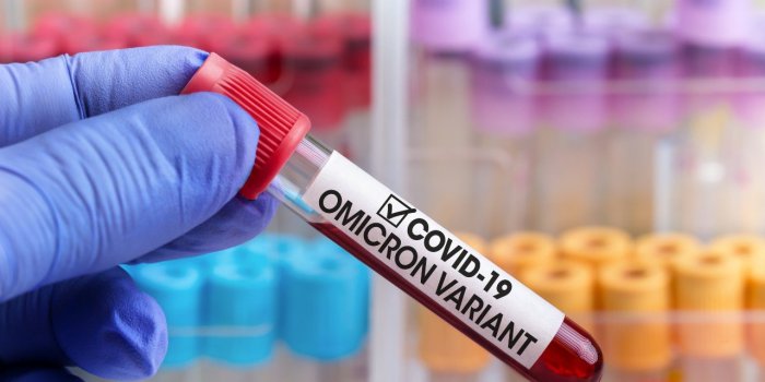 Covid : le nouveau variant d'Omicron BQ.1.1 résiste aux anticorps