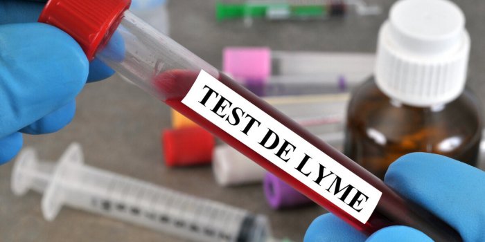 Maladie de Lyme : bientôt un vaccin pour se protéger des morsures de tiques 