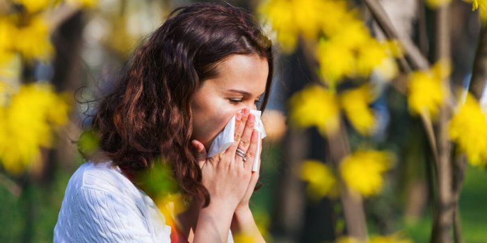 Pollens : pourquoi d'ici 2050 la moitié de votre foyer y sera certainement allergique