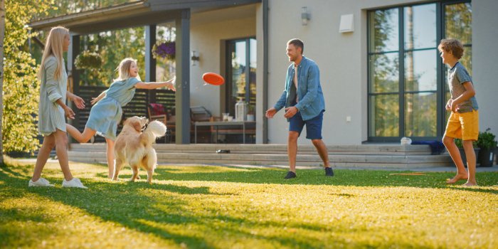 smiling beautiful family of four play fetch flying disc with happy golden retriever dog on the backyard lawn idyllic fami...