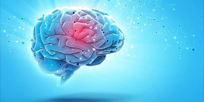 Cerveau : 7 habitudes qui lui nuisent selon un neurologue