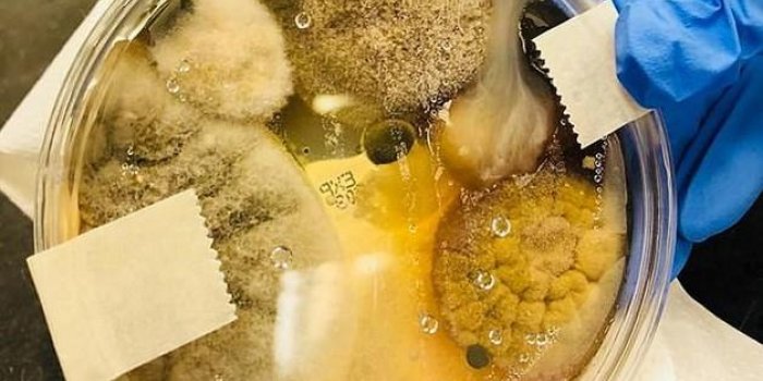Sèche-main : l’objet à bannir des salles de bain car il regorge de bactéries