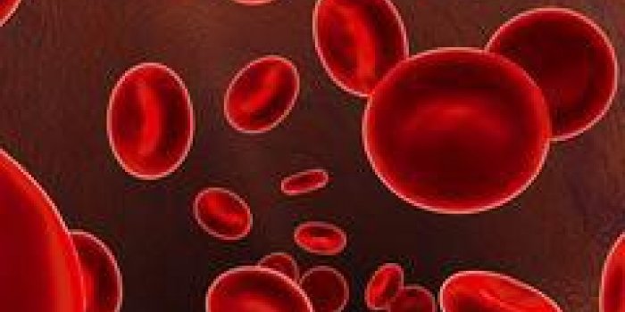 Deux nouveaux groupes sanguins découverts