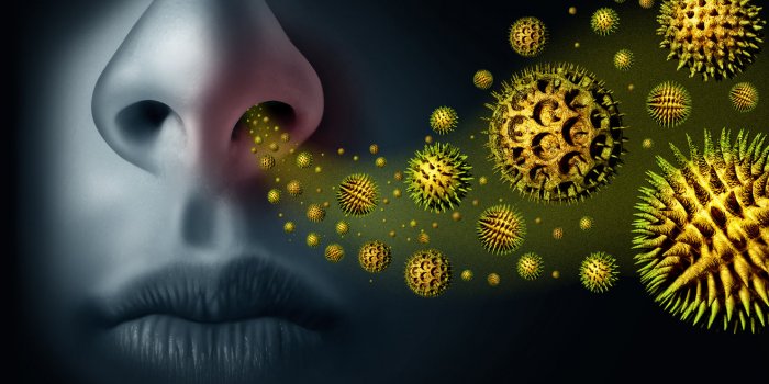 Coronavirus : les personnes allergiques sont-elles plus à risque ?