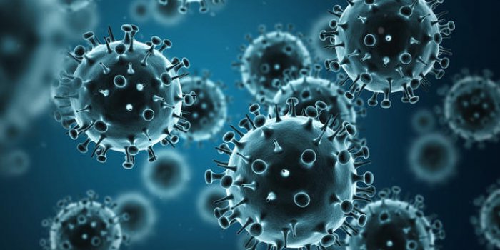 illustration de la grippe porcine h1n1 du virus de la grippe