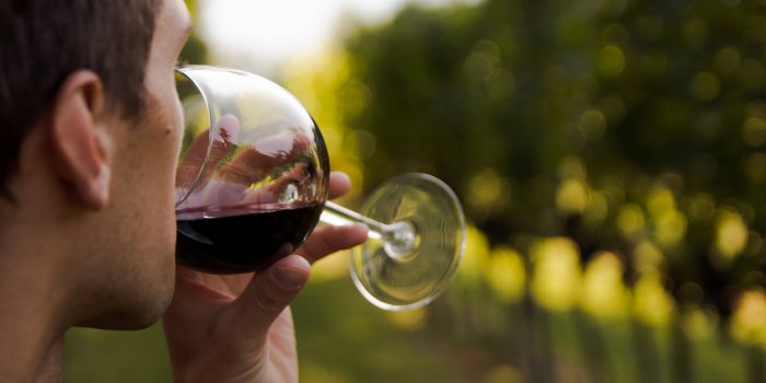 Boire un verre de vin par jour, vraiment bon pour la santé ? [Info ou intox] 