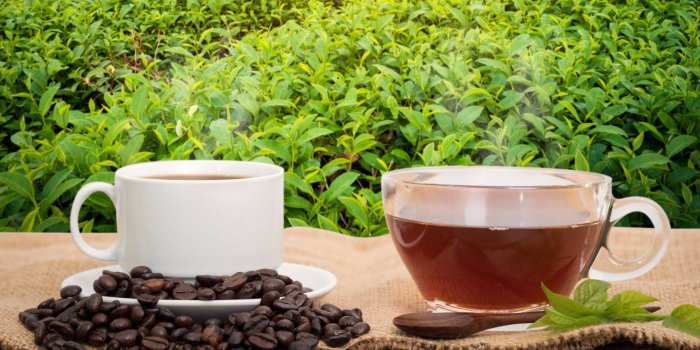 Diabétiques : boire du thé vert et du café pourrait allonger leur durée de vie 