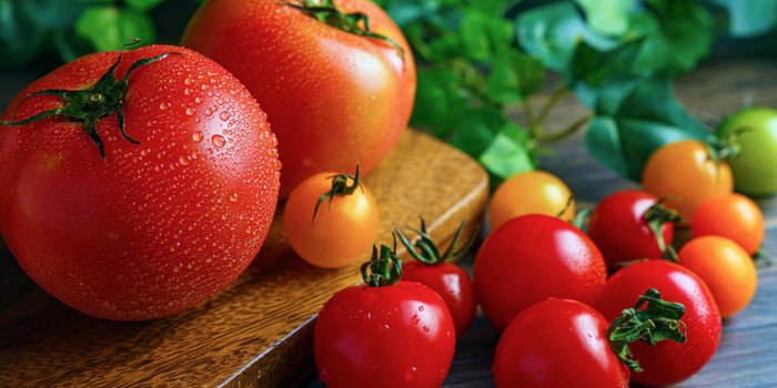 5 bonnes raisons de manger des tomates
