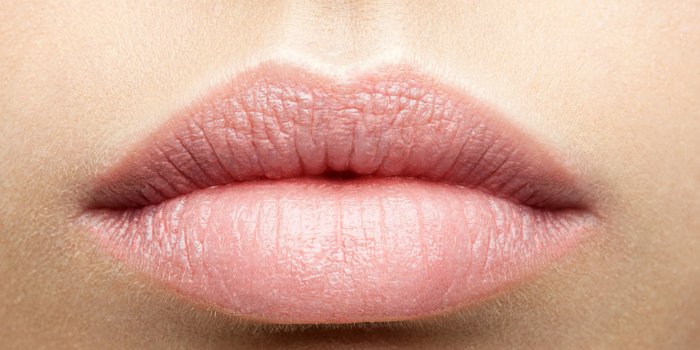 lèvres naturelles parfaites
